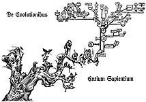 De Evolutionibus Entium Sapientium